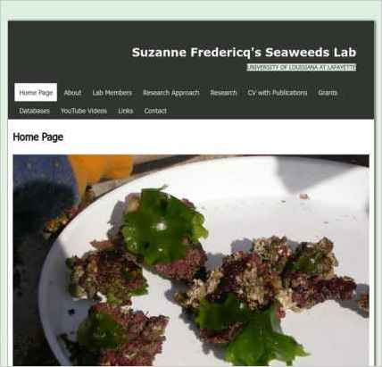 snapshot of home page