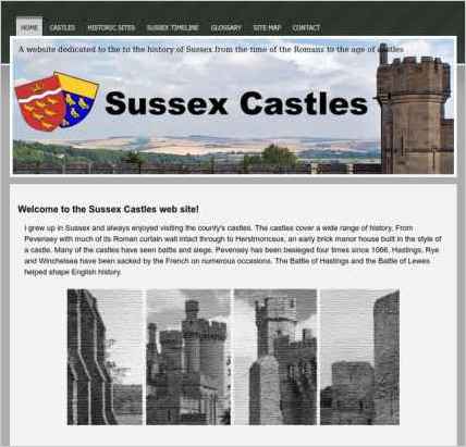 snapshot of home page