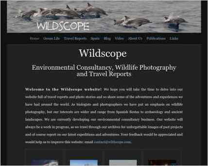 snapshot of home page
