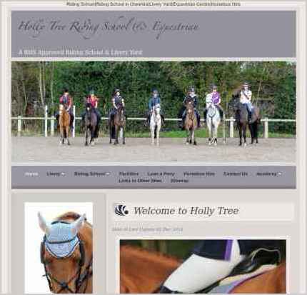 snapshot of home page
