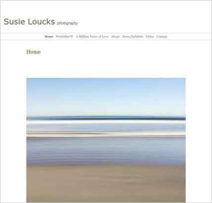 snapshot of home page