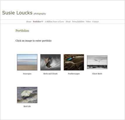 snapshot of another page on this website