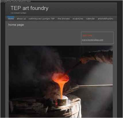 snapshot of home page