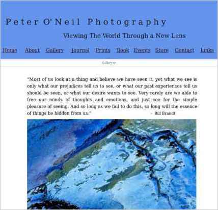 snapshot of home page