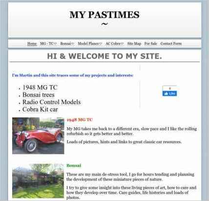 snapshot of home page