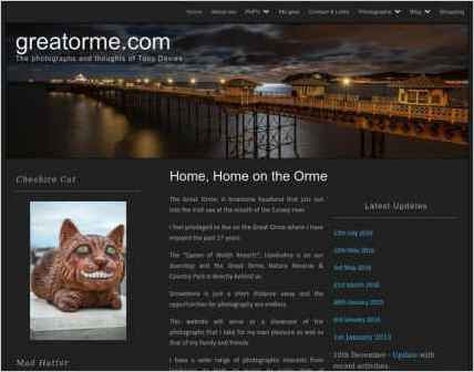 snapshot of home page
