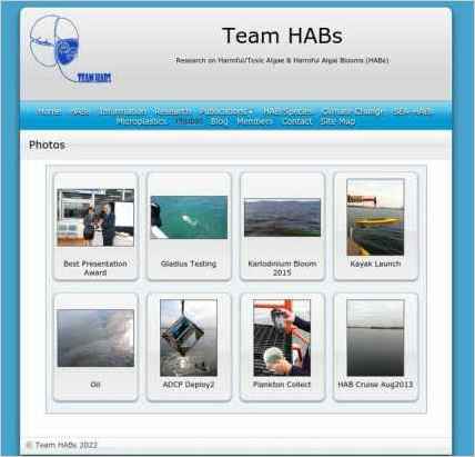 snapshot of another page on this website