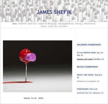 snapshot of home page