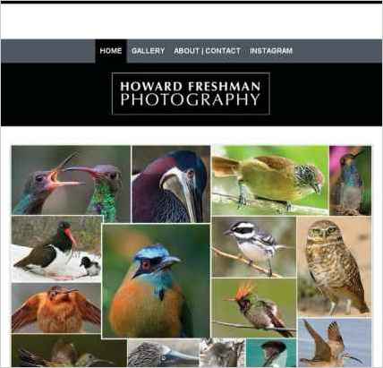 snapshot of home page