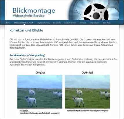 snapshot of another page on this website