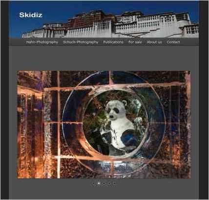 snapshot of home page