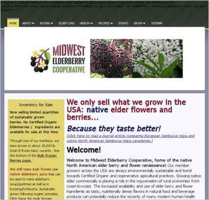 snapshot of home page