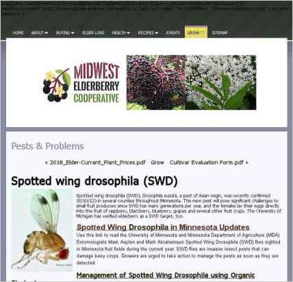snapshot of another page on this website