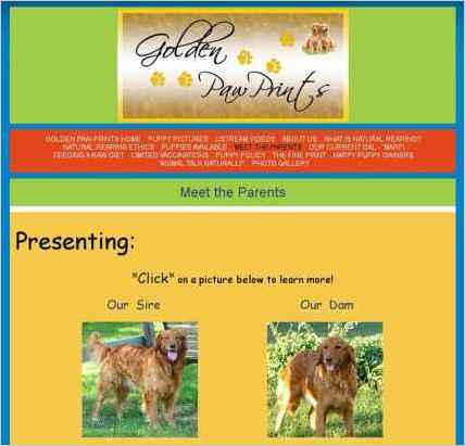 snapshot of another page on this website