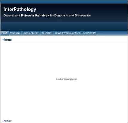 snapshot of home page