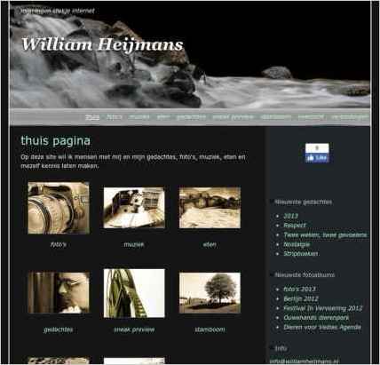 snapshot of home page