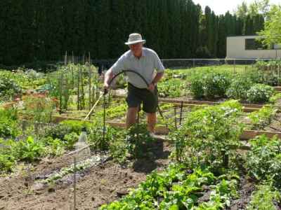 Dave in his community garden Dave in his community garden