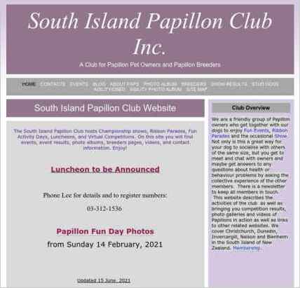 snapshot of home page