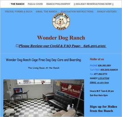 snapshot of home page