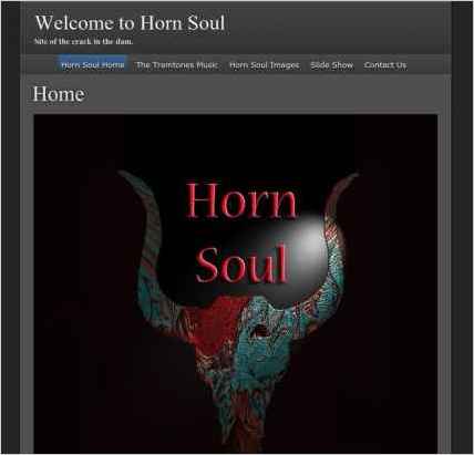snapshot of home page