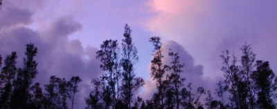 homesite homesite